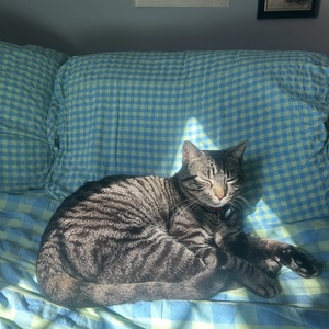 Fundraising Page: Amber Waddel